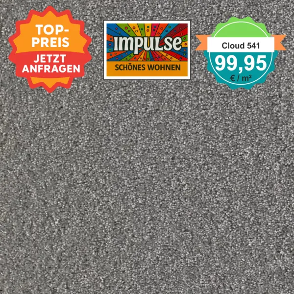 Draufsicht Girloon Cloud 541 Teppichboden mit Preislabel 99,95 €/m²